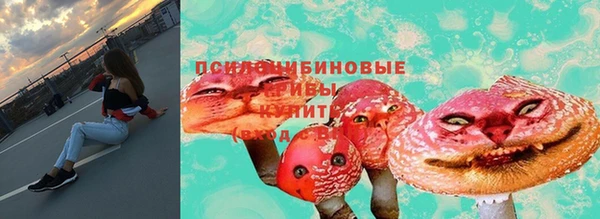 спайс Арсеньев