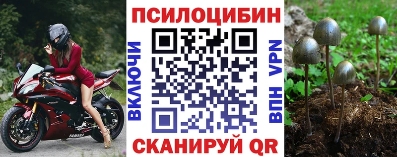 Галлюциногенные грибы Magic Shrooms MEGA вход Усть-Джегута
